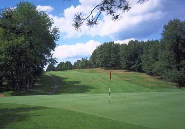 Gull Lake View Golf Club - East - Battle Creek, Michigan - Golf Course Picture
