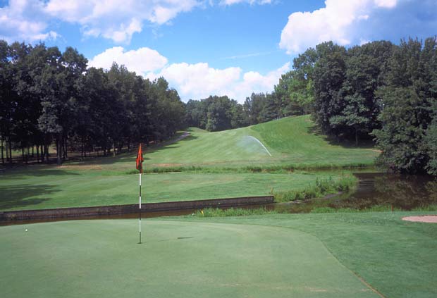 Gull Lake View Golf Club - East - Battle Creek, Michigan - Golf Course Picture