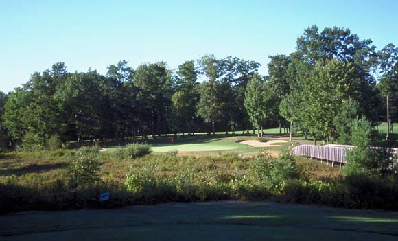 The Natural at Beaver Creek Resort - Gaylord, Michigan - Golf Course Picture