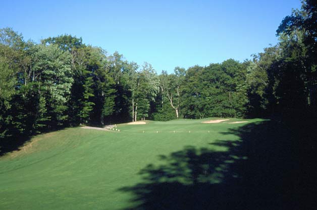 The Natural at Beaver Creek Resort - Gaylord, Michigan - Golf Course Picture