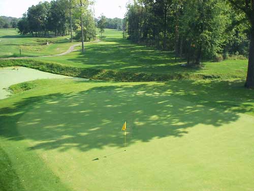 Meridian Sun Golf Course - Lansing, Michigan - Golf Course Picture