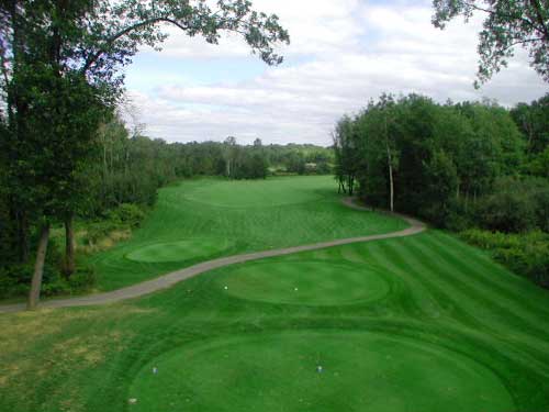 Hawk Hollow Golf Course - Lansing, Michigan - Golf Course Picture