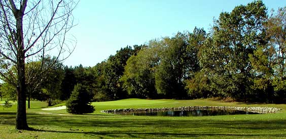 Whiffle Tree Hill Golf Course - Concord, Michigan - Golf Course Picture