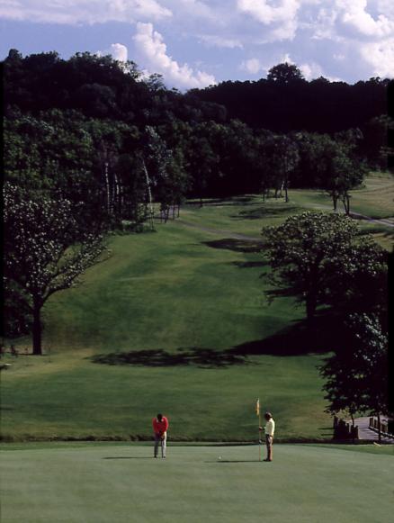 Eagle Ridge Inn & Resort - Galena, Illinois - Golf Course Picture