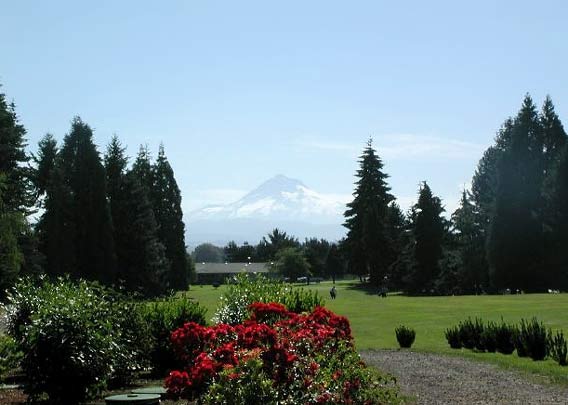 Mountain View Golf Club - Portland, Oregon - Golf Course Picture