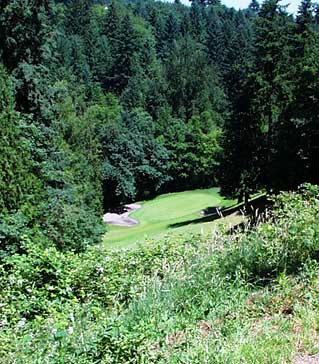Mountain View Golf Club - Portland, Oregon - Golf Course Picture