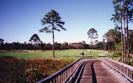 Peninsula Golf Club - Gulf Shores, Alabama - Golf Course Picture