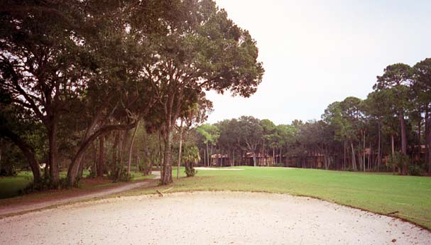 Palm Harbor Golf Club - Daytona Beach, Florida - Golf Course Picture