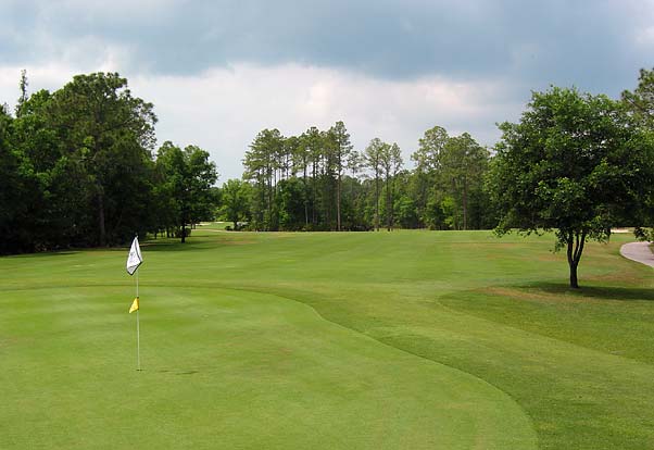 Eagles Golf Club - Forest - Tampa, Florida - Golf Course Picture