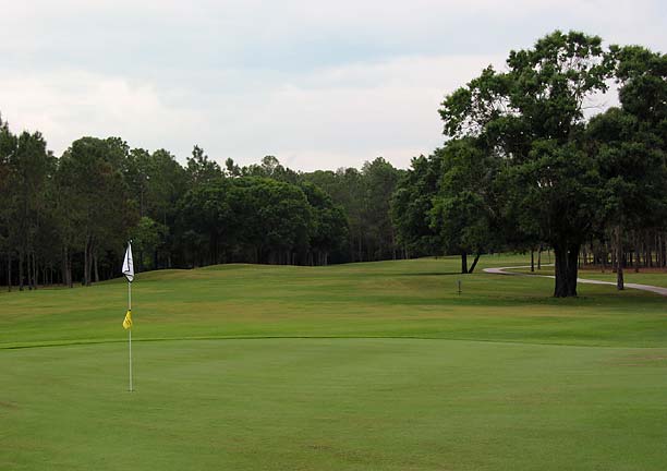 Eagles Golf Club - Forest - Tampa, Florida - Golf Course Picture