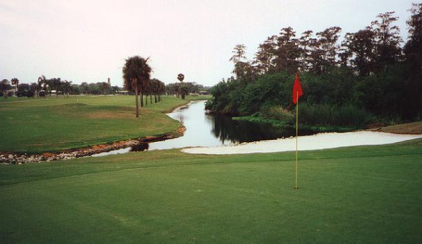 Palm River Country Club - Naples, Florida - Golf Course Picture