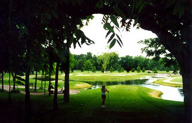Thorne Hills Golf Course - Carleton, Michigan - Golf Course Picture