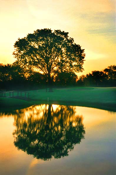 Maple Meadows Golf Course - Chicago, Illinois - Golf Course Picture