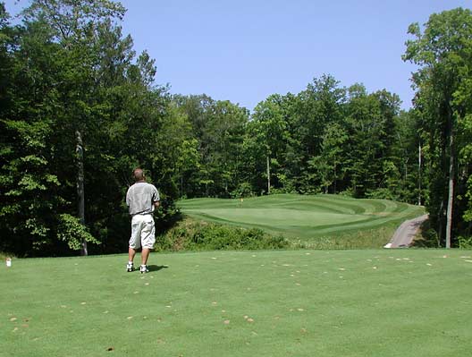 Ravines Golf Club - Saugatuck, Michigan - Golf Course Picture