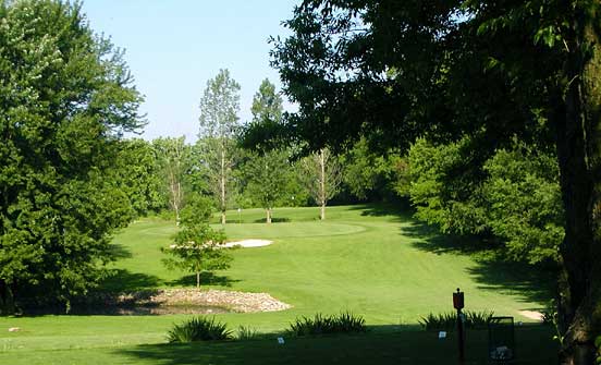 Whiffle Tree Hill Golf Course - Concord, Michigan - Golf Course Picture