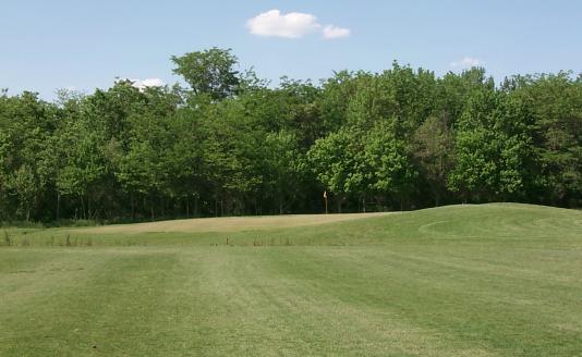 Bluff Creek Golf Course - Indianapolis, Indiana - Golf Course Picture