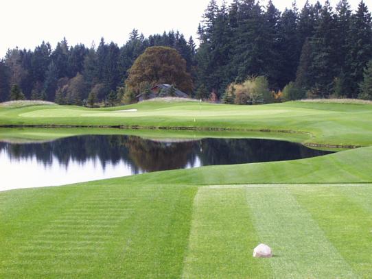 Reserve Vineyards - Cupp - Portland, Oregon - Golf Course Picture
