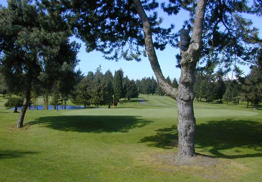 North Shore Golf Course - Tacoma, Washington - Golf Course Picture