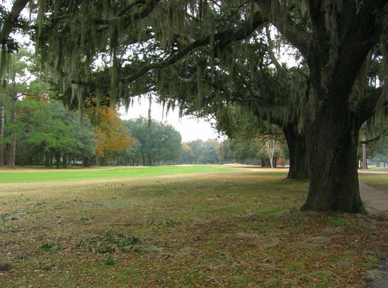 Lakewood Golf Club - Azalea - Mobile, Alabama - Golf Course Picture