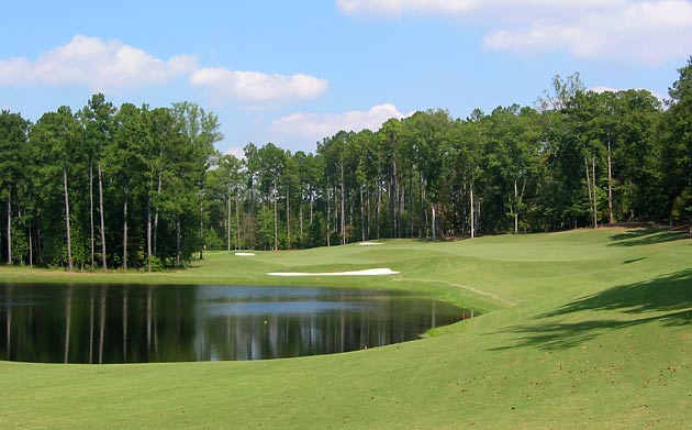 Limestone Springs Golf Club - Oneonta, Alabama - Golf Course Picture