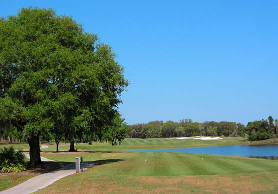 Fox Hollow Golf Club - Tampa, Florida - Golf Course Picture