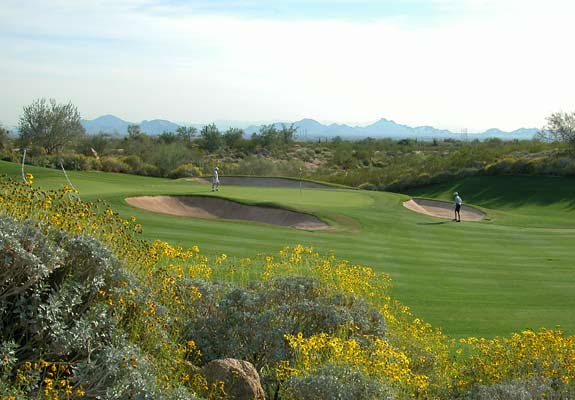 Grayhawk Golf Club - Raptor Course - Scottsdale, Arizona - Golf Course Picture